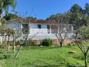 Sítio com 7.000m² em Rochedo na Cidade de Igrejinha/RS