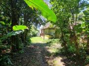 Sítio com 7 Hectares na Cidade de Taquara/RS na...