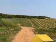 SÍTIO COM AGROPOMAR DE 13.5 ALQUEIRES EM PILAR DO SUL