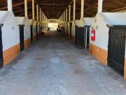 Sítio com Estrutura Completa Para Haras,Guararema/SP