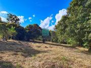 Sitio com grande potencial em meio à natureza!