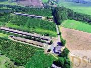 SÍTIO COM GRANJA A VENDA NA REGIÃO DE SOROCABA/SP: 6,5...