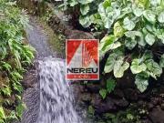 SÍTIO COM PLANTAÇÃO DE PINUS EM SÃO LOURENÇO DA SERRA/SP