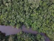 Sítio Com Rio em Mandirituba!