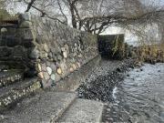 Sitio con dos cabañas a orilla de Lago Puyehue