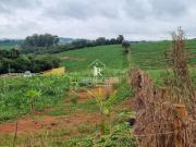 Sítio de 01 alqueire Estrada do Matão Alfenas MG