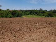 Sítio de 1o,6 Alqueires em Cesário Lange SP