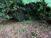 Sítio de 20.000m² à venda em Ibiúna SP, no bairro...