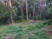 SITIO DE 22 HECTARES EM ARANTINAS MG ST00223