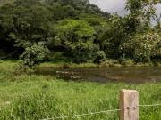 Sítio de 24 Hectares às Margens do Rio Paraibuna em São...