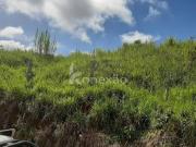 Sítio de 25 Alqueires à Venda Centro Taubaté/SP