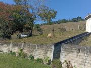 Sitio de 2 alqueires com casa sede,curral e pasto formado