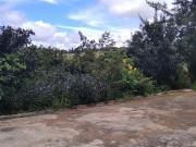 SÍTIO DE 3 HECTARES C/ CASA AMPLA, PISCINA E ÓTIMA TERRA...