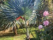 Sítio em 7 Tijuco Melo Viana Esmeraldas/MG