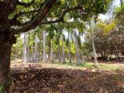 Sítio em Área Rural de Santo Antônio de Posse, Santo...