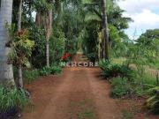 Sítio em Estrada do Jacutinga Água do Abóbora Ibiporã/PR