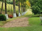Sítio em Estrada Municipal Alcebíades Stefani Bairro dos...