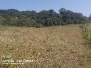 Sítio em Iguape cod: 5755 F: 11 97302 9229 CESAR