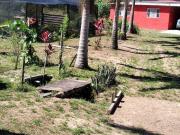 Sítio em Miracatu SP COD: 5902 F: 11 97302 9229 CESAR