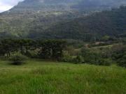 Sítio em Morro Calçado Morro Calçado Canela/RS Sítio em Morro Calçado Morro Calçado Canela/RS