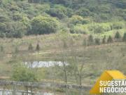 SÍTIO EM PIEDADE APTIDÃO BOVINOS OU EQUINOS