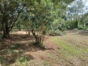 Sítio em Porto Alegre, no bairro São Caetano, à venda