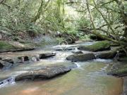 Sítio em Rodovia RS 020 Vera Cruz Gravataí/RS