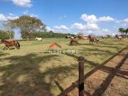 Sítio em Rua Josefa Vieira Pinto Jardim Monte Santo...