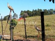 Sítio em Rua um Ribeiros Angatuba/SP