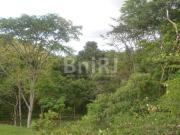 Sítio em Simão Pereira/MG FAZENDA DO ANGICO