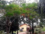 Sítio em Via Martim Lutero Bairro dos Pires Limeira/SP