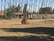 Sitio en Arriendo en ARRIENDO Requinoa, Caletera...