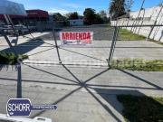 Sitio en Arriendo en Avenida Colín