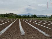 Sitio en Arriendo en Callejón la Gloria