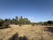 Sitio en Arriendo en Piedra Roja