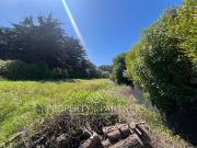 Sitio en sector Fundo la Playa