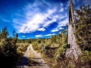 Sitio en Venta en Altos de Polincay