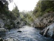 Sitio en Venta en antes de salmofood, camino W 450, a...
