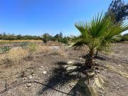 Sitio en Venta en avenida chicureo