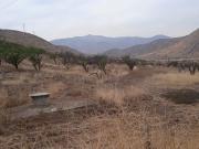 Sitio En Venta En Avenida Del Valle Urbano Sitio En Venta En Avenida Del Valle Urbano