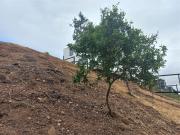 Sitio en Venta en Barrio Privado Lomas del Mauco