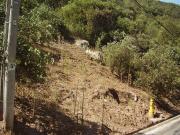 Sitio en Venta en Bosque del Polo Santa Maria Manquehue