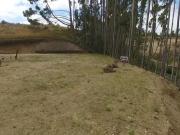 Sitio en Venta en Brisas de Puerto Varas