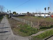 Sitio en Venta en Calle Pedro Lagos sector estación