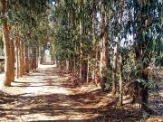 Sitio en Venta en RUTA F 40 callejon las gaviotas mantagua