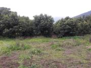 Sitio en Venta en Camino a Catapilco cercano a Maitencillo
