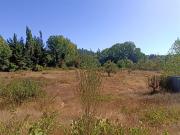 Sitio en Venta en camino a Florida