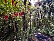 Sitio en Venta en Camino al Volcan km 5