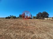 Sitio en Venta en Camino Botrolhue