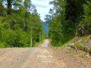 Sitio en Venta en Camino Pucón Menetué Quilaco